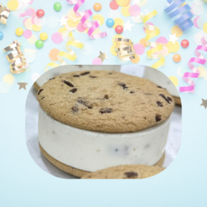 Chocolate Chip Ice Cream Sandwich
